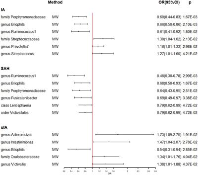 Gut microbiota and cerebrovascular diseases: a Mendelian randomization study